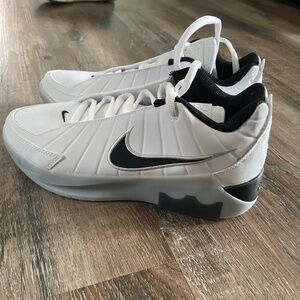 Lebron James Witness IX